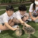 용두농장 이미지