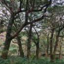 자연과 사람 이미지