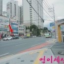 다사종합동물병원 이미지