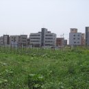 연두농장 이미지