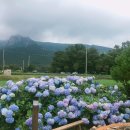 이한영농장 이미지