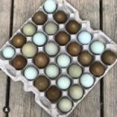 정카페(cafe) 이미지