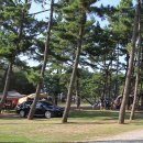 청포대숲속야영장 이미지