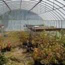 한일농장 이미지