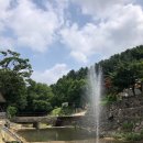 돌고개늘품 이미지