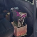 서이 | 과천꽃집 플라워 서이 - 이직 선물로 준비한 만천홍 서양난 후기 과천펜타원꽃집