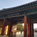 평화 N 윤 행정사 사무소 | 남산 한옥마을, 둘레길 걷기 - ( 2018.01.01 )