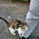 김포다도박물관 이미지