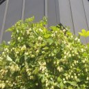 선우회관 이미지