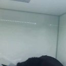 인천24시유앤미동물병원 이미지