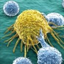 꿈의약국 이미지