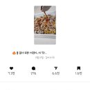 유하커머스 | 오은환 강의 찐후기 ! 내돈내산 오콘목달 4개월 동안의 나의 변화와 성장인증!