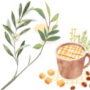 신기초교병설유치원 이미지