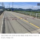 윤석열 대통령 부부 욕설 글 발견…경찰 수사 착수 이미지