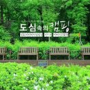 노을공원 가족캠핑장 이미지