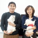 애견용품시장