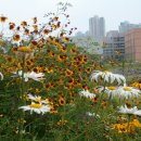 운중동주민센터 이미지