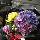 조세핀플라워