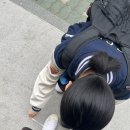팬더리아 이미지