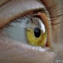서울피부과의원 - 밀양시 중앙로 381 | 서울피부과의원