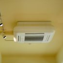 노박젠틀브이의원 이미지