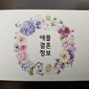 애플결혼정보 이미지