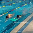 하비엘럭스 이미지