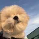 개멋 | 퇴사라는 말은 너무 거창하지 않나