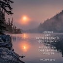 도인로 이미지
