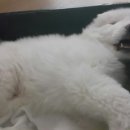 파티투어