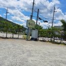 월산복어 이미지