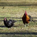 (주)케이지환경 이미지