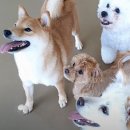 베테랑병원 이미지