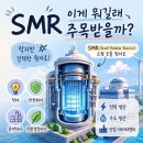 베스트프랜드태양광발전소 | SMR 관련주 뜻 주가 HD현대 테라파워에 SMR 핵심설비 공급