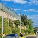 자랑하개 이미지