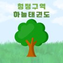 용인대 명품 태권도장 이미지