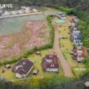 제부 포레스트 이미지