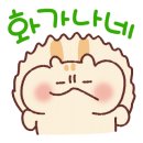서귀포이고집