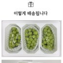 군북과일