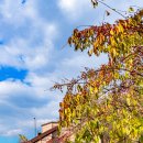 청계산수변공원 이미지