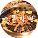 소풍막창