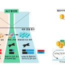 "텔로미어(telomere) 인듯 텔로미어 아닌 텔로미어 같은" 새로운 기전 규명 이미지