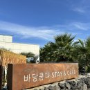 바당노을 | 제주도 애월 오션뷰 독채 숙소 추천 일몰이 보이는 바당쿰다 후기
