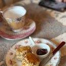 뜨락의아침 이미지