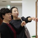 양지-17 이미지
