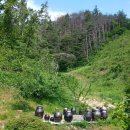 하연민박 이미지