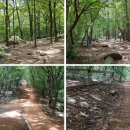 수리산 산림욕장 이미지