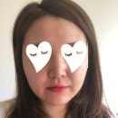 폴라리스다옴