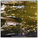 화포식당 | 판교 고깃집 추천, 유스페이스 맛집 화포식당에서 가족 외식하고 온 후기