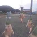 달뜨는바다 이미지